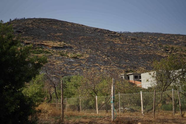 July 22, 2026, Bizerte, Bizerte, Tunisia, Tunisia: Scorched trees are seen on the hills overlooking the coast of Sidi Ali Mekki in the locality of Ghar El Melh on July 22, 2026 after being ravaged by a forest fire. Wildfires broke out the previous night in the heights of Ghar El Melh, Sidi Ali El Mekki, and RafRaf in Tunisia s Bizerte Governorate causing great concern among residents and vacationers. Bizerte Tunisia - ZUMAm342 20260722_zsp_m342_002 Copyright: xHasanxMradx