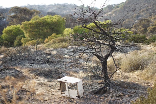 July 22, 2026, Bizerte, Bizerte, Tunisia, Tunisia: Scorched trees are seen on the hills overlooking the coast of Sidi Ali Mekki in the locality of Ghar El Melh on July 22, 2026 after being ravaged by a forest fire. Wildfires broke out the previous night in the heights of Ghar El Melh, Sidi Ali El Mekki, and RafRaf in Tunisia s Bizerte Governorate causing great concern among residents and vacationers. Bizerte Tunisia - ZUMAm342 20260722_zsp_m342_004 Copyright: xHasanxMradx