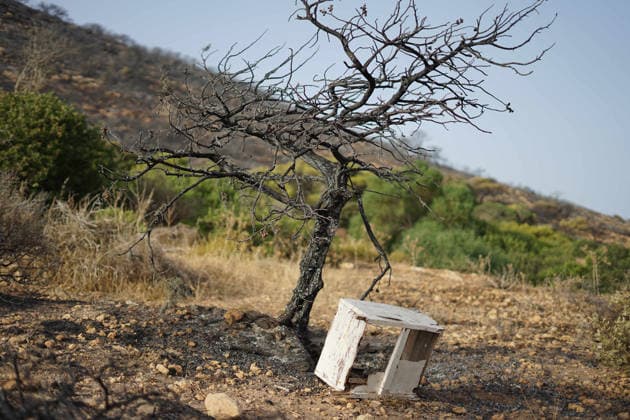 July 22, 2026, Bizerte, Bizerte, Tunisia, Tunisia: Scorched trees are seen on the hills overlooking the coast of Sidi Ali Mekki in the locality of Ghar El Melh on July 22, 2026 after being ravaged by a forest fire. Wildfires broke out the previous night in the heights of Ghar El Melh, Sidi Ali El Mekki, and RafRaf in Tunisia s Bizerte Governorate causing great concern among residents and vacationers. Bizerte Tunisia - ZUMAm342 20260722_zsp_m342_006 Copyright: xHasanxMradx