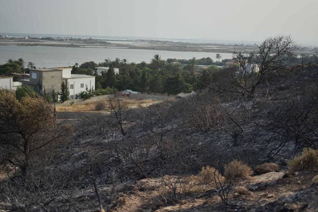 July 22, 2026, Bizerte, Bizerte, Tunisia, Tunisia: Scorched trees are seen on the hills overlooking the coast of Sidi Ali Mekki in the locality of Ghar El Melh on July 22, 2026 after being ravaged by a forest fire. Wildfires broke out the previous night in the heights of Ghar El Melh, Sidi Ali El Mekki, and RafRaf in Tunisia s Bizerte Governorate causing great concern among residents and vacationers. Bizerte Tunisia - ZUMAm342 20260722_zsp_m342_007 Copyright: xHasanxMradx