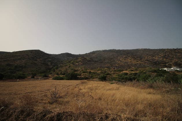 July 22, 2026, Bizerte, Bizerte, Tunisia, Tunisia: Scorched trees are seen on the hills overlooking the coast of Sidi Ali Mekki in the locality of Ghar El Melh on July 22, 2026 after being ravaged by a forest fire. Wildfires broke out the previous night in the heights of Ghar El Melh, Sidi Ali El Mekki, and RafRaf in Tunisia s Bizerte Governorate causing great concern among residents and vacationers. Bizerte Tunisia - ZUMAm342 20260722_zsp_m342_008 Copyright: xHasanxMradx