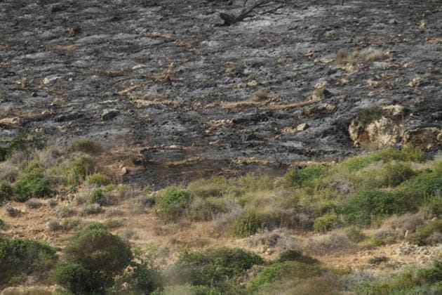 July 22, 2026, Bizerte, Bizerte, Tunisia, Tunisia: Scorched trees are seen on the hills overlooking the coast of Sidi Ali Mekki in the locality of Ghar El Melh on July 22, 2026 after being ravaged by a forest fire. Wildfires broke out the previous night in the heights of Ghar El Melh, Sidi Ali El Mekki, and RafRaf in Tunisia s Bizerte Governorate causing great concern among residents and vacationers. Bizerte Tunisia - ZUMAm342 20260722_zsp_m342_011 Copyright: xHasanxMradx