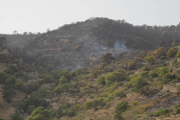 July 22, 2026, Bizerte, Bizerte, Tunisia, Tunisia: Scorched trees are seen on the hills overlooking the coast of Sidi Ali Mekki in the locality of Ghar El Melh on July 22, 2026 after being ravaged by a forest fire. Wildfires broke out the previous night in the heights of Ghar El Melh, Sidi Ali El Mekki, and RafRaf in Tunisia s Bizerte Governorate causing great concern among residents and vacationers. Bizerte Tunisia - ZUMAm342 20260722_zsp_m342_013 Copyright: xHasanxMradx