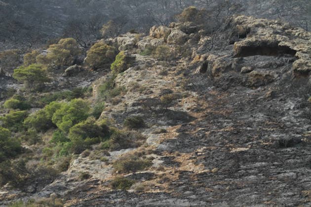 July 22, 2026, Bizerte, Bizerte, Tunisia, Tunisia: Scorched trees are seen on the hills overlooking the coast of Sidi Ali Mekki in the locality of Ghar El Melh on July 22, 2026 after being ravaged by a forest fire. Wildfires broke out the previous night in the heights of Ghar El Melh, Sidi Ali El Mekki, and RafRaf in Tunisia s Bizerte Governorate causing great concern among residents and vacationers. Bizerte Tunisia - ZUMAm342 20260722_zsp_m342_015 Copyright: xHasanxMradx