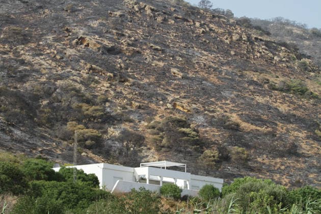 July 22, 2026, Bizerte, Bizerte, Tunisia, Tunisia: Scorched trees are seen on the hills overlooking the coast of Sidi Ali Mekki in the locality of Ghar El Melh on July 22, 2026 after being ravaged by a forest fire. Wildfires broke out the previous night in the heights of Ghar El Melh, Sidi Ali El Mekki, and RafRaf in Tunisia s Bizerte Governorate causing great concern among residents and vacationers. Bizerte Tunisia - ZUMAm342 20260722_zsp_m342_014 Copyright: xHasanxMradx