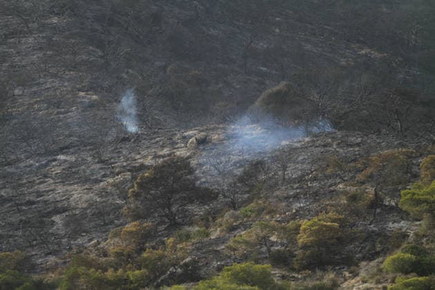 July 22, 2026, Bizerte, Bizerte, Tunisia, Tunisia: Scorched trees are seen on the hills overlooking the coast of Sidi Ali Mekki in the locality of Ghar El Melh on July 22, 2026 after being ravaged by a forest fire. Wildfires broke out the previous night in the heights of Ghar El Melh, Sidi Ali El Mekki, and RafRaf in Tunisia s Bizerte Governorate causing great concern among residents and vacationers. Bizerte Tunisia - ZUMAm342 20260722_zsp_m342_016 Copyright: xHasanxMradx