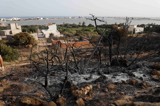 July 22, 2026, Bizerte, Bizerte, Tunisia, Tunisia: Scorched trees are seen on the hills overlooking the coast of Sidi Ali Mekki in the locality of Ghar El Melh on July 22, 2026 after being ravaged by a forest fire. Wildfires broke out the previous night in the heights of Ghar El Melh, Sidi Ali El Mekki, and RafRaf in Tunisia s Bizerte Governorate causing great concern among residents and vacationers. Bizerte Tunisia - ZUMAm342 20260722_zsp_m342_021 Copyright: xHasanxMradx
