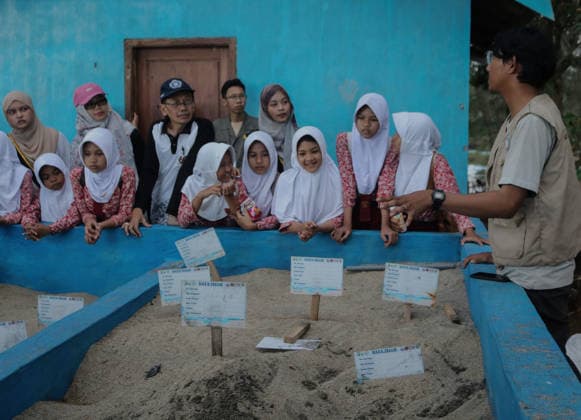 July 22, 2026, Malang, East Java, Indonesia: Several students learning olive ridley turtle hatchlings (Lepidochelys olivacea) with a Volunteer in Bajulmati Sea turtle conservation (BSTC) area on Bajul Mati Beach, Malang, East Java, Indonesia, on July 22, 2026..Today, the Bajulmati Sea Turtle Conservation Area (BSTC) released 100 olive ridley sea turtle hatchlings (Lepidochelys olivacea) into the sea. The greatest threats to wild sea turtles are poaching for their shells and eggs, as well as high levels of plastic waste in the ocean and development along the coast. Malang Indonesia - ZUMAr335 20260722_zip_r335_001 Copyright: xAmanxRochmanx