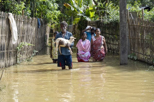 Flood in Indian Northeastern State Assam JORHAT, INDIA - JULY 22: Residents wade through floodwaters while carrying a goat and salvaged belongings from their inundated homes in a flood-affected neighborhood, on July 22, 2026 in Jorhat, India. The flood situation in Assam remained critical, with more than 630,000 people affected across 21 districts. The state’s death toll has risen to 12. David Talukdar Anadolu Jorhat India. Editorial use only. Please get in touch for any other usage.  Copyright: x2026xAnadoluxDavidxTalukdarx