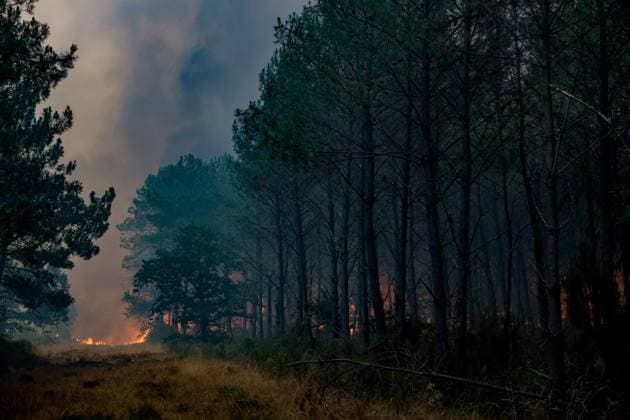 Fire in Gironde: 2,400 hectares burned between Saumos and Le Porge THE ROAD BETWEEN LE PORGE AND LEGE PHOTOPQR SUD OUEST GUILLAUME BONNAUD Bordeaux July 23, 2026 JULY 23, 2026 IN GIRONDE Fire in Gironde: 2,400 hectares burned between Saumos and Le Porge Photo by Guillaume Bonnaud THE ROAD BETWEEN LE PORGE AND LEGE Gironde, France – July 23, 2026 Firefighters battle a fast-moving wildfire between Saumos and Le Porge after the blaze scorched around 2,400 hectares of forest and triggered the evacuation of thousands of people Bordeaux GIRONDE France  Copyright: xPHOTOPQR SUDxOUEST MAXPPPxGUILLAUMExBONNAUDx 20260723SDO5494 20260723SDO5494