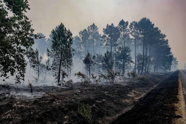Fire in Gironde: 2,400 hectares burned between Saumos and Le Porge THE ROAD BETWEEN LE PORGE AND LEGE PHOTOPQR SUD OUEST GUILLAUME BONNAUD Bordeaux July 23, 2026 JULY 23, 2026 IN GIRONDE Fire in Gironde: 2,400 hectares burned between Saumos and Le Porge Photo by Guillaume Bonnaud THE ROAD BETWEEN LE PORGE AND LEGE Gironde, France – July 23, 2026 Firefighters battle a fast-moving wildfire between Saumos and Le Porge after the blaze scorched around 2,400 hectares of forest and triggered the evacuation of thousands of people Bordeaux GIRONDE France  Copyright: xPHOTOPQR SUDxOUEST MAXPPPxGUILLAUMExBONNAUDx 20260723SDO5495 20260723SDO5495