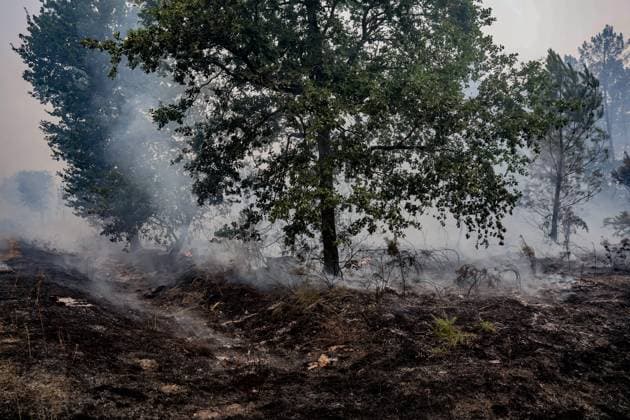 Fire in Gironde: 2,400 hectares burned between Saumos and Le Porge THE ROAD BETWEEN LE PORGE AND LEGE PHOTOPQR SUD OUEST GUILLAUME BONNAUD Bordeaux July 23, 2026 JULY 23, 2026 IN GIRONDE Fire in Gironde: 2,400 hectares burned between Saumos and Le Porge Photo by Guillaume Bonnaud THE ROAD BETWEEN LE PORGE AND LEGE Gironde, France – July 23, 2026 Firefighters battle a fast-moving wildfire between Saumos and Le Porge after the blaze scorched around 2,400 hectares of forest and triggered the evacuation of thousands of people Bordeaux GIRONDE France  Copyright: xPHOTOPQR SUDxOUEST MAXPPPxGUILLAUMExBONNAUDx 20260723SDO5491 20260723SDO5491