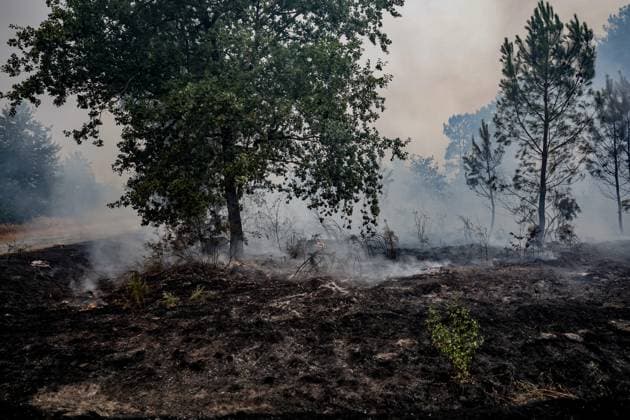 Fire in Gironde: 2,400 hectares burned between Saumos and Le Porge THE ROAD BETWEEN LE PORGE AND LEGE PHOTOPQR SUD OUEST GUILLAUME BONNAUD Bordeaux July 23, 2026 JULY 23, 2026 IN GIRONDE Fire in Gironde: 2,400 hectares burned between Saumos and Le Porge Photo by Guillaume Bonnaud THE ROAD BETWEEN LE PORGE AND LEGE Gironde, France – July 23, 2026 Firefighters battle a fast-moving wildfire between Saumos and Le Porge after the blaze scorched around 2,400 hectares of forest and triggered the evacuation of thousands of people Bordeaux GIRONDE France  Copyright: xPHOTOPQR SUDxOUEST MAXPPPxGUILLAUMExBONNAUDx 20260723SDO5518 20260723SDO5518