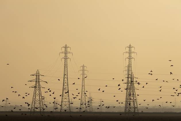 Ausgewachsene Stare (Sturnus vulgaris), die bei Einbruch der Dämmerung im Rahmen eines Murmurations Schwarmfluges gemeinsam fliegen, mit Strommasten im Hintergrund, England, Großbritannien Common starling (Sturnus vulgaris) adult birds flying together in a flock during a murmuration at dusk with electricity pylons in the background, England, United Kingdom Copyright: imageBROKER KevinxSawford ibxksa18522150.jpg