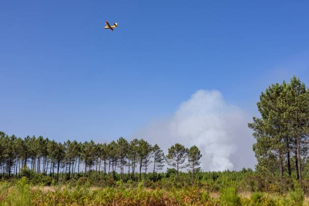 Wildfire Burns Near Le Porge - Gironde Firefighters are battling the blaze as emergency services remain mobilized to protect nearby residents, tourists and properties. Smoke rises as a wildfire burns near Lacanau and Le Porge, Gironde, France, on July 23, 2026. Photo by Margot Le Gonidec ABACAPRESS.COM Le Porge Gironde France  Copyright: xLexGonidecxMargot ABACAx