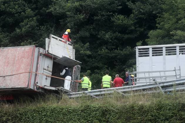 An accident involving a cattle transport truck is causing traffic delays on the A-6 in Baralla, Lugo. A group of cows traveling in the truck involved in the accident on the A-6 was evacuated, on July 23, 2026, in Baralla, Lugo, Galicia, Spain. A cattle transport truck overturned today onto a passenger car at kilometer 464 of the A-6, near the town of Baralla in Lugo, forcing the highway to be closed between kilometers 469 and 461. Traffic authorities have set up alternative detours. July 23, 2026, Spain  Copyright: xCarlosxCastrox 7683098