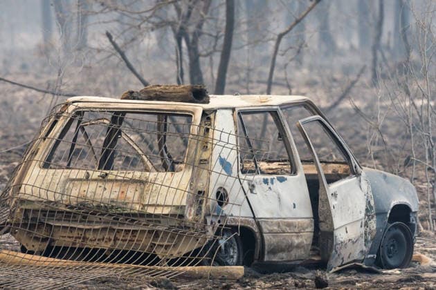 Fire in Gironde: Flames Are Approaching Lège-Cap-Ferret, France, July 23, 2026. The intense fire that broke out on Wednesday, July 22, at 12:00 p.m. in Saumos, Gironde, has burned more than 31 km² of forest. Since yesterday, nearly 20,000 people have been evacuated as a precaution or are in the process of being evacuated. 700 firefighters have been deployed to the scene, with aerial support. Guillaume Collet Bestimage Wildfire in Gironde: Flames Closing In on Lège-Cap-Ferret, France, July 23, 2026 The intense fire that broke out at noon on Wednesday, July 22, in Saumos, Gironde, has burned more than 31 square kilometers of forest. Since yesterday, nearly 20,000 people have been—or are currently being—evacuated as a precaution. 700 firefigh  Copyright: xGuillaumexCollet BestimagexGuillaumexCollet Bestimagex