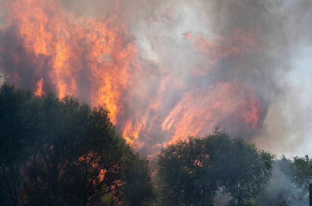 AVE service between Madrid and Barcelona has resumed following a disruption caused by a fire. Forest fire on the M 206 highway between Torrejón and Loeches, July 23, 2026, in XXX, Madrid, Spain High-speed rail service between Madrid and Barcelona was restored this Thursday afternoon following a disruption caused by a fire that broke out around noon near the tracks and affected trains traveling between Mejorada de Campo and Alcalá de Henares. JULY 23, 2026 Madrid, Madrid, Spain  Copyright: xAlbertoxOrtegax 7683197