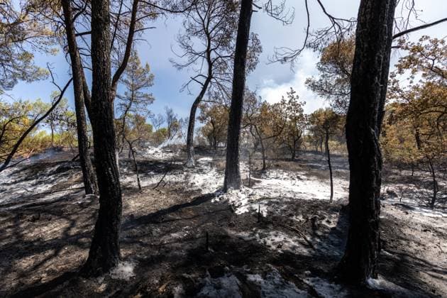 FIRE IN PONTEVES, VAR – PHOTOPQR, NICE MATIN, ESCOFFIER, FLORIAN – JULY 23, 2026 – FIRE IN PONTEVES Ponteves, France, July 23, 2026 Ponteves devastated by fire in France  Copyright: xPHOTOPQR NICExMATIN MAXPPPxESCOFFIERxFLORIANx 20260723NIM6410 20260723NIM6416