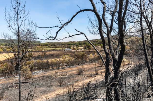 FIRE IN PONTEVES, VAR – PHOTOPQR, NICE MATIN, ESCOFFIER, FLORIAN – JULY 23, 2026 – FIRE IN PONTEVES Ponteves, France, July 23, 2026 Ponteves devastated by fire in France  Copyright: xPHOTOPQR NICExMATIN MAXPPPxESCOFFIERxFLORIANx 20260723NIM6410 20260723NIM6427