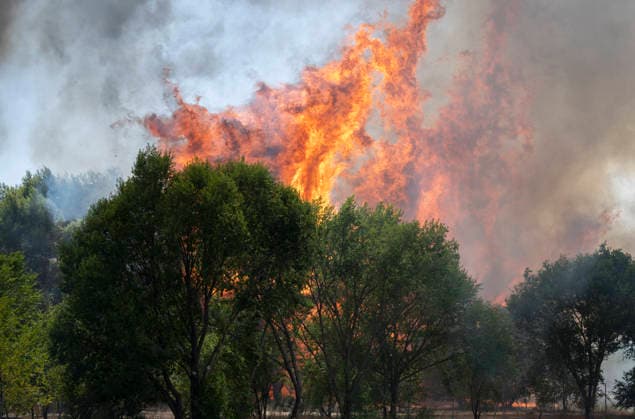 AVE service between Madrid and Barcelona has resumed following a disruption caused by a fire. A wildfire on the M 206 highway between Torrejón de Ardoz and Loeches, on July 23, 2026, in Madrid, Spain High-speed rail service between Madrid and Barcelona was restored this Thursday afternoon following a disruption caused by a fire that broke out around noon near the tracks and affected trains traveling between Mejorada de Campo and Alcalá de Henares. JULY 23, 2026 Madrid, Madrid, Spain  Copyright: xAlbertoxOrtegax 7683275