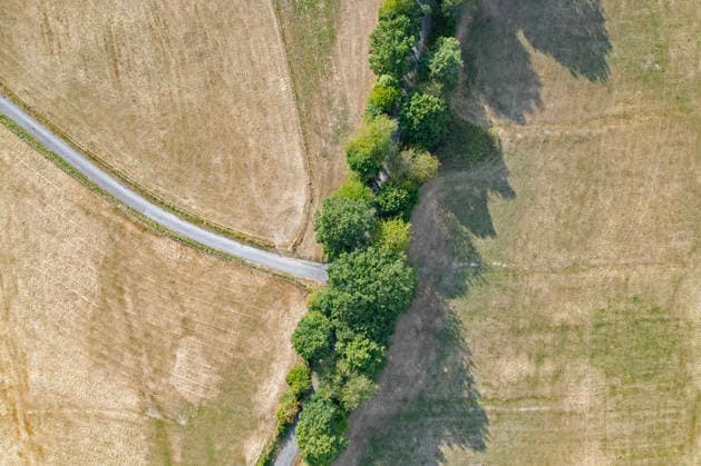 Luftaufnahme. Sommer im Siegerland. Aufgrund des fehlenden Regens sind einige Wiesen, Weideflaechen (Weideflächen) wie hier in Siegen-Oberschelden sehr trocken. Zwischen den Wiesen verlaeuft (verläuft) eine Strasse (Straße). Sommer am 23.07.2026 in Siegen Deutschland. *** Aerial view of the Siegerland region in summer. Due to the lack of rain, some meadows and pastures—such as here in Oberschelden, Siegen—are very dry. A road runs between the meadows. Summer, July 23, 2026, in Siegen, Germany