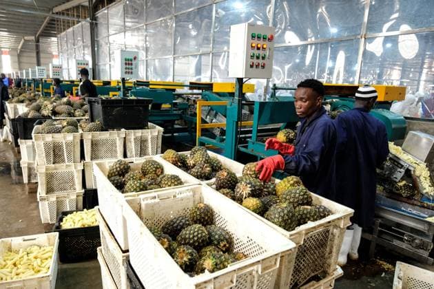 (260723) -- LUWERO, July 23, 2026 -- Photo taken on July 23, 2026 shows a pineapple processing plant at the China-Uganda Agricultural Cooperation Industrial Park in Luwero District, Uganda. Ugandan Vice President Jessica Alupo on Thursday hailed the China-Uganda Agricultural Cooperation Industrial Park as a key driver of the country s agricultural transformation through agro-processing. TO GO WITH Uganda VP hails China-backed agro-industrial park for boosting agricultural transformation (Photo by Xinhua) UGANDA-LUWERO-VICE PRESIDENT-VISIT-CHINA-UGANDA-AGRO-INDUSTRIAL PARK HajarahxNalwadda 