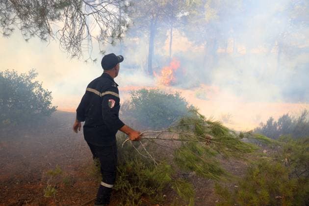 Fires in the town of Bordj Okhriss, Bouira, Algeria; Civil Defense Response To extinguish the fires in the town of Bordj Okhriss, in the Bouira Mountains in Algeria, on July 23, 2026, According to the civil protection report, the fires are under control. Photo by Billel Bensalem, APP, Bouira, Algeria Copyright: xAPPxAlgeriexPressxPhotosxBillelxBensalemx xAPPx IMG_6719