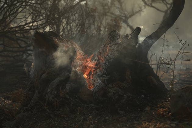 Wildfire breaks out in Cotignac, southern France COTIGNAC, FRANCE - JULY 23: Smoke rises from areas affected by a wildfire as firefighters continue efforts to contain the blaze near the town of Cotignac in southern France, on July 23, 2026. Mohamad Salaheldin Abdelghani Alsayed Anadolu Cotignac France. Editorial use only. Please get in touch for any other usage.  Copyright: x2026xAnadoluxMohamadxSalaheldinxAbdelghanixAlsayedx