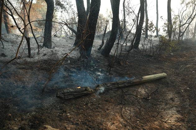 Wildfire breaks out in Cotignac, southern France COTIGNAC, FRANCE - JULY 23: Smoke rises from areas affected by a wildfire as firefighters continue efforts to contain the blaze near the town of Cotignac in southern France, on July 23, 2026. Mohamad Salaheldin Abdelghani Alsayed Anadolu Cotignac France. Editorial use only. Please get in touch for any other usage.  Copyright: x2026xAnadoluxMohamadxSalaheldinxAbdelghanixAlsayedx