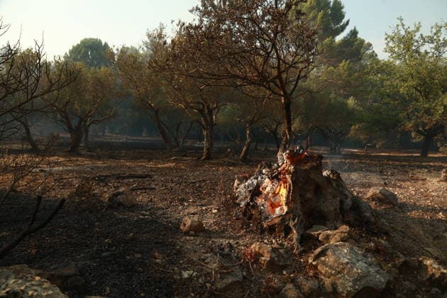 Wildfire breaks out in Cotignac, southern France COTIGNAC, FRANCE - JULY 23: Smoke rises from areas affected by a wildfire as firefighters continue efforts to contain the blaze near the town of Cotignac in southern France, on July 23, 2026. Mohamad Salaheldin Abdelghani Alsayed Anadolu Cotignac France. Editorial use only. Please get in touch for any other usage.  Copyright: x2026xAnadoluxMohamadxSalaheldinxAbdelghanixAlsayedx