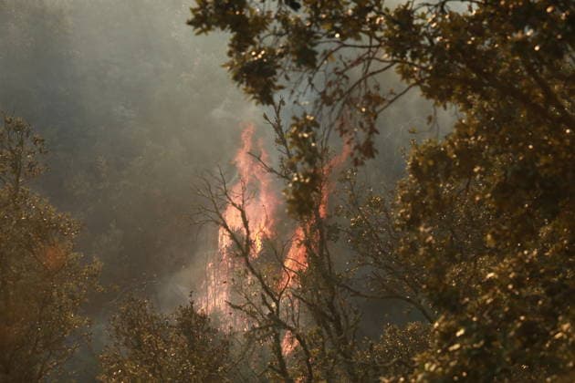 Wildfire breaks out in Cotignac, southern France COTIGNAC, FRANCE - JULY 23: Smoke rises from areas affected by a wildfire as firefighters continue efforts to contain the blaze near the town of Cotignac in southern France, on July 23, 2026. Mohamad Salaheldin Abdelghani Alsayed Anadolu Cotignac France. Editorial use only. Please get in touch for any other usage.  Copyright: x2026xAnadoluxMohamadxSalaheldinxAbdelghanixAlsayedx