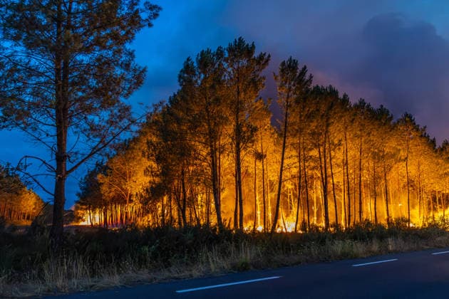 Flames Engulf Pine Forest During Gironde Wildfires - Le Porge Flames spread through a pine forest during the ongoing wildfires in the Gironde department. The fast-moving blaze has prompted evacuations and a major firefighting response as extreme weather conditions fuel the fire near Le Porge, France, on July 23, 2026. Photo by Margot Le Gonidec ABACAPRESS.COM Le Porge France  Copyright: xLexGonidecxMargot ABACAx