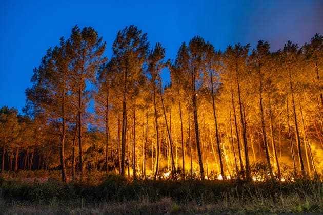 Flames Engulf Pine Forest During Gironde Wildfires - Le Porge Flames spread through a pine forest during the ongoing wildfires in the Gironde department. The fast-moving blaze has prompted evacuations and a major firefighting response as extreme weather conditions fuel the fire near Le Porge, France, on July 23, 2026. Photo by Margot Le Gonidec ABACAPRESS.COM Le Porge France  Copyright: xLexGonidecxMargot ABACAx