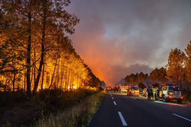 Flames Engulf Pine Forest During Gironde Wildfires - Le Porge Firefighters battle a major wildfire burning through a pine forest in the Gironde department. Fire engines and emergency crews are deployed along the roadside as flames spread through the vegetation during a large-scale firefighting operation near Le Porge, France, on July 23, 2026. Photo by Margot Le Gonidec ABACAPRESS.COM Le Porge France  Copyright: xLexGonidecxMargot ABACAx