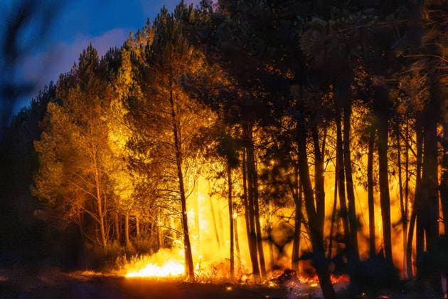 Flames Engulf Pine Forest During Gironde Wildfires - Le Porge Flames spread through a pine forest during the ongoing wildfires in the Gironde department. The fast-moving blaze has prompted evacuations and a major firefighting response as extreme weather conditions fuel the fire near Le Porge, France, on July 23, 2026. Photo by Margot Le Gonidec ABACAPRESS.COM Le Porge France  Copyright: xLexGonidecxMargot ABACAx
