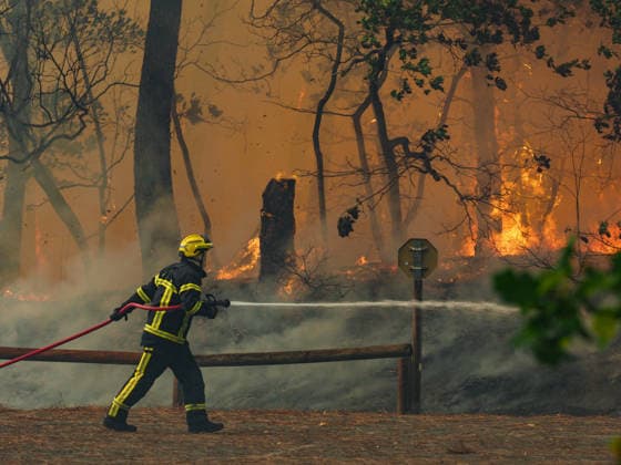 The fire is spreading into Lège-Cap-Ferret, the 800 firefighters mobilized in the Médoc are preparing to battle the blaze for yet another night on July 23, 2026. The fire in southern Médoc took advantage of terrible weather conditions to spread even further on Thursday, July 23. Around 7:00 p.m., the fire reached the most vulnerable neighborhoods of Lège Cap Ferret, on the outskirts of the Arcachon Basin. Several villages on the Cap Ferret peninsula were immediately evacuated. Guillaume Collet Bestimage As the fire reaches Lège Cap Ferret, the 800 firefighters deployed in the Médoc region are preparing to battle the blaze for another night on July 23, 2026. The fire in the southern Médoc took advantage of atrocious weather conditions to sp  Copyright: xGuillaumexCollet BestimagexGuillaumexCollet Bestimagex