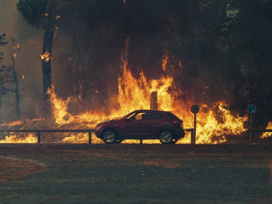 The fire is spreading into Lège-Cap-Ferret, the 800 firefighters mobilized in the Médoc are preparing to battle the blaze for yet another night on July 23, 2026. The fire in southern Médoc took advantage of terrible weather conditions to spread even further on Thursday, July 23. Around 7 p.m., the fire reached the most vulnerable neighborhoods of Lège Cap Ferret, on the outskirts of the Arcachon Basin. Several villages on the Cap Ferret peninsula were immediately evacuated. Guillaume Collet Bestimage As the fire reaches Lège Cap Ferret, the 800 firefighters deployed in the Médoc region are preparing to battle the blaze for another night on July 23, 2026. The fire in the southern Médoc took advantage of atrocious weather conditions to sprea  Copyright: xGuillaumexCollet BestimagexGuillaumexCollet Bestimagex