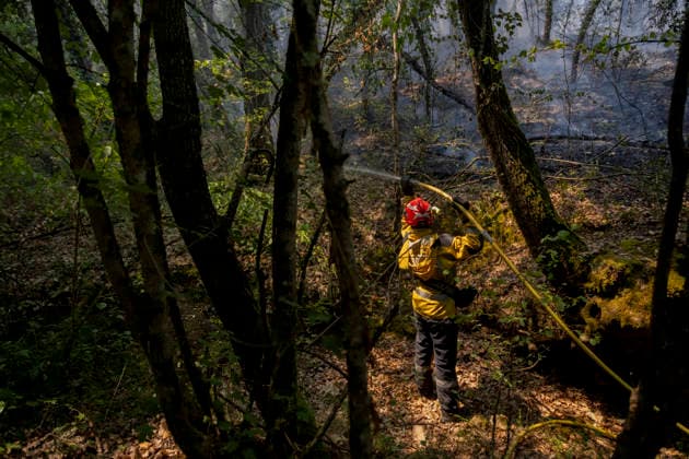 Wildfires in the Var - France A firefighter sprays water on remaining hotspots while advancing through burned woodland during a wildfire operation at Le Domaine la Marseillaise in Ponteves, Fire crews worked under dense forest cover to prevent the fire from spreading further. Var, France, July 23, 2026. Photo by Thibaut Durand ABACAPRESS.COM. Ponteves Provence-Alpes-Cote d Azur France  Copyright: xDurandxThibaut ABACAx