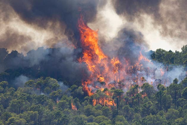 Wildfires in the Var - France Large flames and thick smoke rise through a pine forest during a wildfire in Cotignac, he burning woodland, orange fire fronts, gray smoke and charred trees illustrate a forest fire and a natural disaster affecting a Mediterranean landscape. Var, France on July 23, 2026. Photo by Thibaut Durand ABACAPRESS.COM. Corignac Provence-Alpes-Cote d Azur France  Copyright: xDurandxThibaut ABACAx