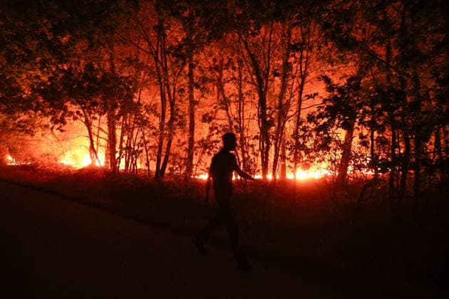 Fires in Gironde, Lège-Cap-Ferret PHOTOPQR SUD OUEST Photo by Fabien Cottereau Lège-Cap-Ferret July 23, 2026 Fires in Gironde The fire spread overnight, the Cap Ferret Peninsula is currently being evacuated; footage shows the fire in the center of Lège Cap Ferret, France, July 23, 2026. The fire spread overnight; the Ferret Peninsula, situated between the Atlantic Ocean and the Garonne River, is being evacuated, and footage shows the fire in the center of Lège-Cap-Ferret, Gironde, France.  Copyright: xPHOTOPQR SUDxOUEST MAXPPPxPhotoxFabienxCottereaux 20260724SDO7757 20260724SDO7757