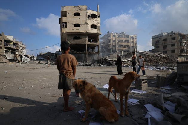 Palestinians inspect building damaged in Israeli airstrike in Gaza City Palestinians inspect the damage to a building following an Israeli airstrike on al-Jalaa Street in central Gaza City, Gaza Strip, on July 24, 2026. Photo by Hadi Daoud apaimages Gaza city Gaza Strip Palestinian Territory 240726_Gaza_HD_00(35) Copyright: xapaimagesxHadixDaoudx xapaimagesx