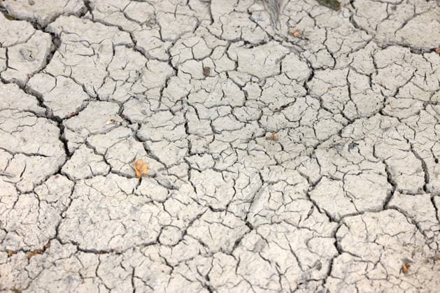 Symbolbild zum Thema starke Trockenheit. Ausgetrockneter Boden mit Rissen bei Siegen-Oberschelden. Sommer im Siegerland am 24.07.2026 in Siegen Deutschland. *** Illustrative image on the topic of severe drought: Parched, cracked soil near Siegen and Oberschelden. Summer in the Siegerland region on July 24, 2026, in Siegen, Germany
