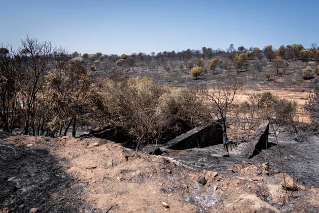 The fires in the Community of Madrid have merged into a single front, and a third front is being monitored from Ávila. Land burned by the wildfire, as of July 2, 2026, in Madrid, Spain. The fires affecting the Community of Madrid continue to spread unchecked and have merged into a single fire, while in Ávila, the Burgohondo fire is also spreading unchecked, forcing the central government to declare a national emergency on a day when weather forecasts of strong gusts of wind are hampering firefighting efforts. So far, 9,000 hectares have been burned in Ávila and another 6,000 in Madrid. JULY 24, 2026. A Pé Madrid, Madrid, Spain  Copyright: xA.xPÃ rezxMecax 7684908