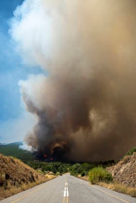 The Ávila City Council has launched an operation to assist the evacuated residents of El Tiemblo. A thick column of smoke near El Castanar in El Tiemblo, on July 24, 2026, in El Tiemblo, Ávila, Castile and León, Spain. The Ávila City Council has launched an operation to assist residents of El Tiemblo—who were evacuated due to the Burgohondo fire—in the city. The operation, which began late Thursday evening, has been organized to assist with the transportation and evacuation of these residents, municipal sources told Europa Press. The mayor of Ávila, Jesús Manuel Sánchez Cabrera, is leading the operation, which includes personnel from the Prevention, Firefighting, and Rescue Service (SPEIS), the Local Police, and Ávila’s Civil Protection Ag  Copyright: xGabrixSolerax 7685184