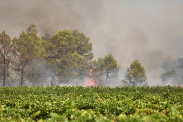 FIRE IN COTIGNAC PHOTOPQR NICE MATIN ESCOFFIER FLORIAN JULY 24, 2026 FIRE IN COTIGNAC STILL BEING MONITORED BY FIREFIGHTERS France, July 24, 2026 Fire in Cotignac still being monitored by firefighters France  Copyright: xPHOTOPQR NICExMATIN MAXPPPxESCOFFIERxFLORIANx 20260724NIM8503 20260724NIM8517