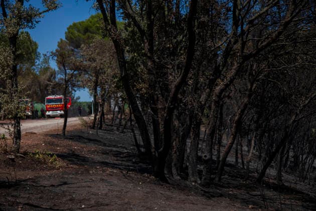 Wildfires in the Var - Cotignac - France Burned woodland lines a road where fire engines remain deployed following a major wildfire near the Notre Dame de Graces Sanctuary in Cotignac, charred trees and scorched ground highlight the extent of the damage caused by the wildfire. Var, France, July 24, 2026. Photo by Thibaut Durand ABACAPRESS.COM. Cotignac Provence-Alpes-Cote d Azur France  Copyright: xDurandxThibaut ABACAx