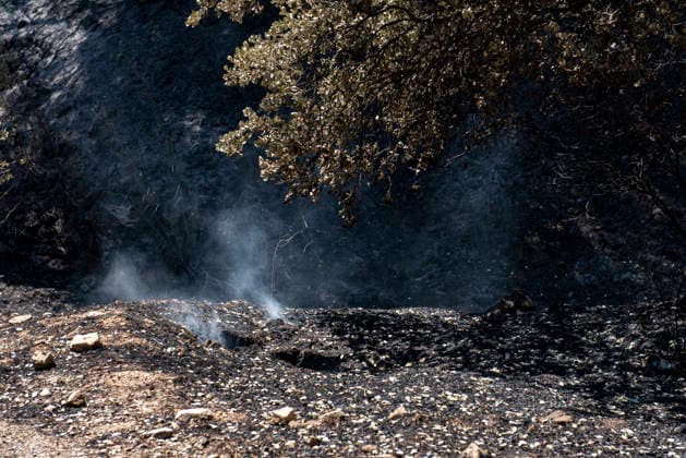 The Ávila City Council is deploying a response operation to assist the residents of El Tiemblo who were evacuated. Condition of the area following the fire, as of July 24, 2026, in Almorox, Toledo, Castile-La Mancha, Spain, July 24, 2026: FIRE, SMOKE, SMOKE PLUME, EVACUEES, CLM, EMERGENCY RESPONSE, FLAME, EMbers, ALMOROX, TOLEDO, Almorox, Toledo, Castile-La Mancha Almorox, Toledo, Castile-La Mancha, Spain  Copyright: xGabrixSolerax 7686350