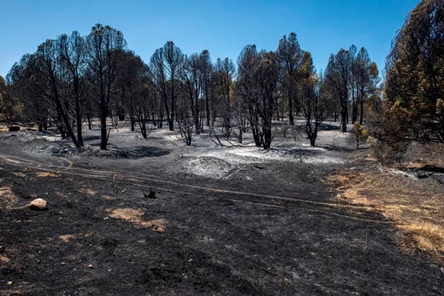 The Ávila City Council is deploying a response operation to assist the residents of El Tiemblo who were evacuated. Condition of the area following the fire, as of July 24, 2026, in Almorox, Toledo, Castile-La Mancha, Spain, July 24, 2026: FIRE, SMOKE, SMOKE PLUME, EVACUEES, CLM, EMERGENCY RESPONSE, FLAME, EMbers, ALMOROX, TOLEDO, Almorox, Toledo, Castile-La Mancha Almorox, Toledo, Castile-La Mancha, Spain  Copyright: xGabrixSolerax 7686354