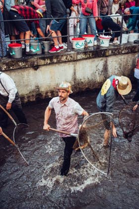 Ein Blick auf das traditionelle Bachausfischen während des Fischertags in Memmingen. Zahlreiche Fischer in teils historischer Kleidung waten durch den Stadtbach, um Fische zu fangen. Dicht gedrängt stehen Zuschauer am Ufer und verfolgen das Spektakel, das jährlich tausende Besucher anzieht. Im Hintergrund sind die historischen Mauern der Stadt zu sehen. Der Memminger Fischertag ist eines der ältesten und bekanntesten Volksfeste in Bayern. Memmingen Bayern Deutschland *** A look at the traditional stream fishing during Fishermen’s Day in Memmingen. Numerous fishermen, some in historical attire, wade through the town stream to catch fish. Spectators stand crowded together on the bank, watching the spectacle, which attracts thousands of
